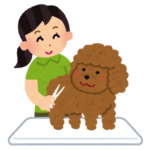 dog grooming, home grooming,