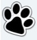 dog grooming near me