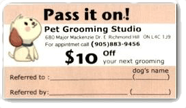 Pet grooming studio special card,