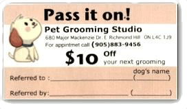 rewardspic dog grooming service,