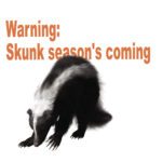 Remove Skunk Odours