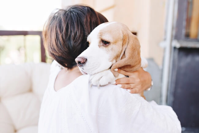 how can you tell if your dog is depressed or lonely