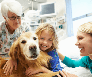 dogs, therapy