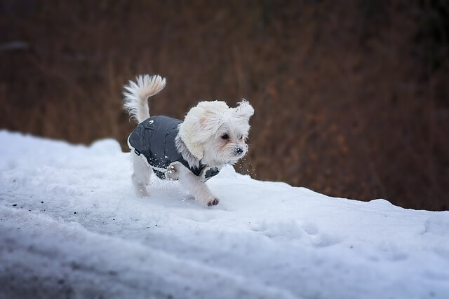 cold winter months