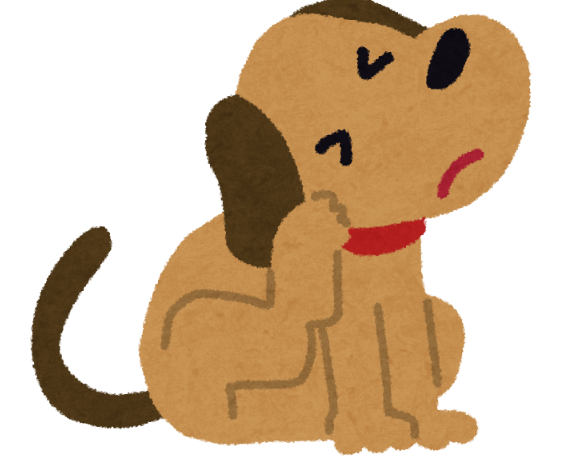 fleas and a dog