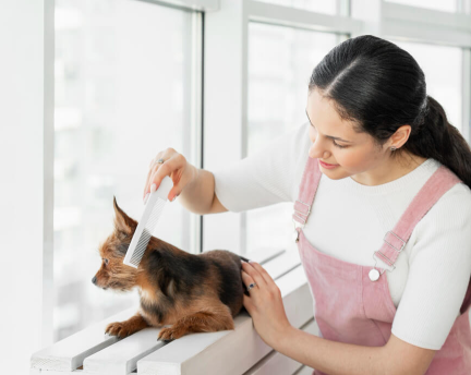 home grooming tips