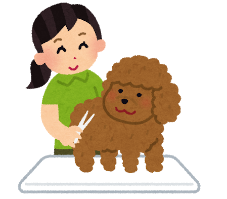 pet groomer and dog