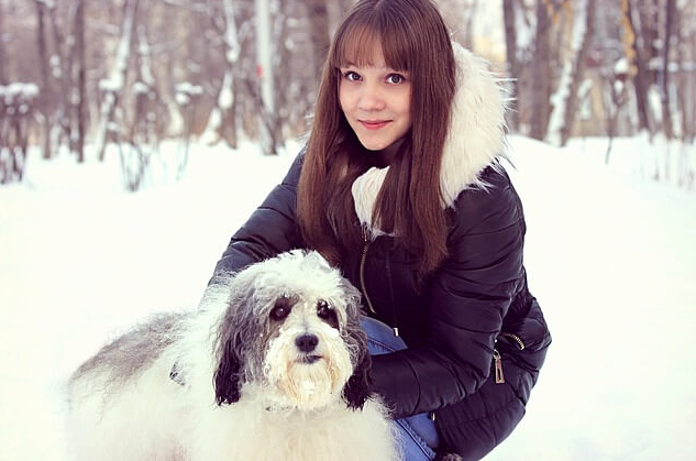 dog grooming for winter