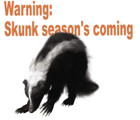 skunk odor