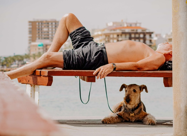 dog in summer