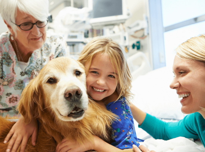 dog and family